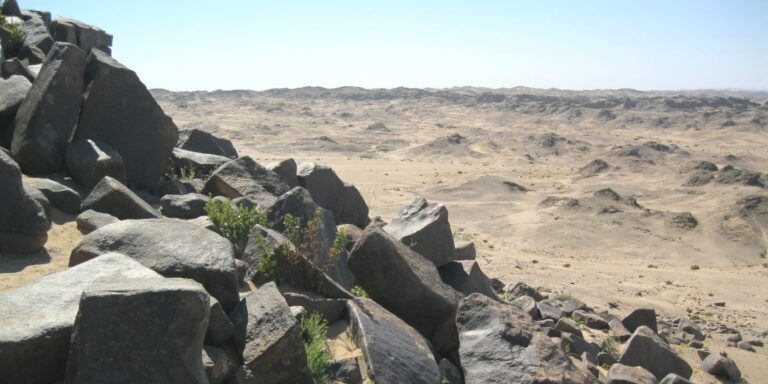 Klimawandel und wir Alle