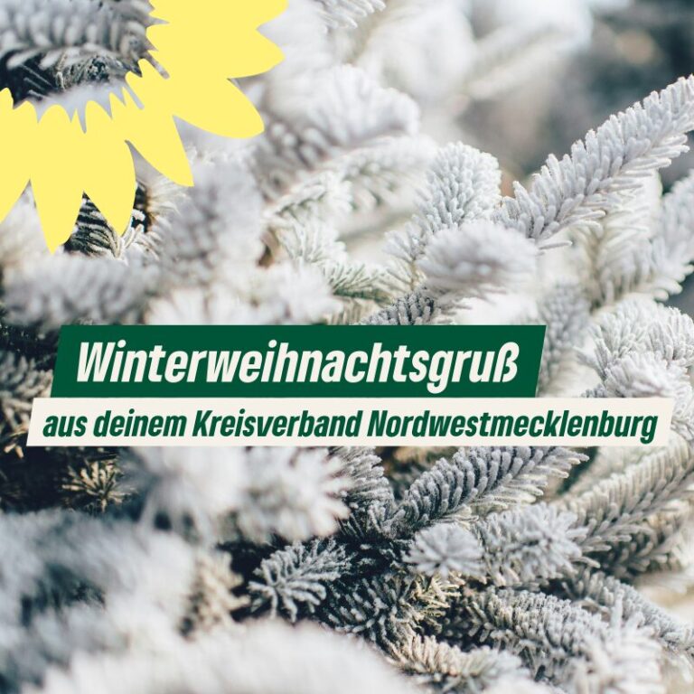 Winterweihnachtsgruß Deines Kreisverbands Nordwestmecklenburg