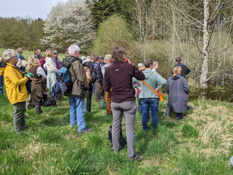 Wald, Wasser, Moore – gemeinsame Wanderung im Everstorfer Forst