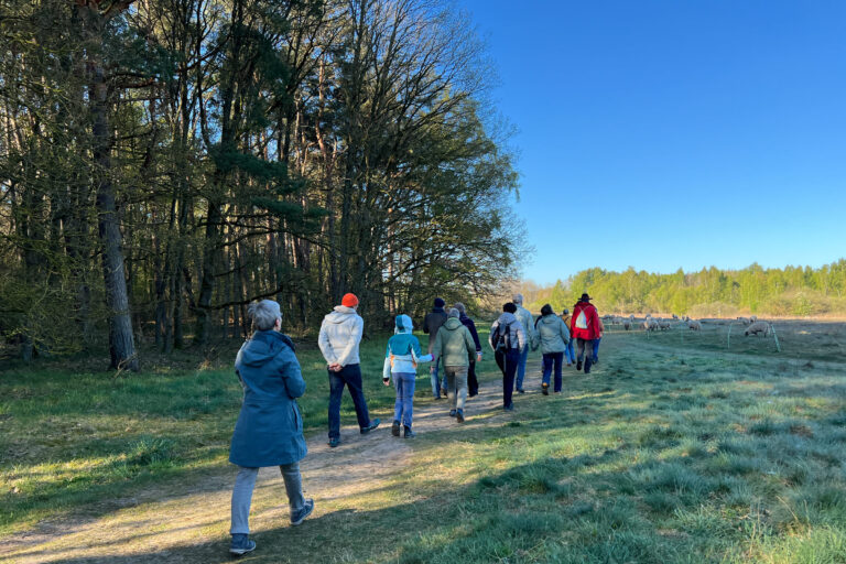 Erhellende Momente bei der Lüdersdorfer Vogelstimmen-Wanderung