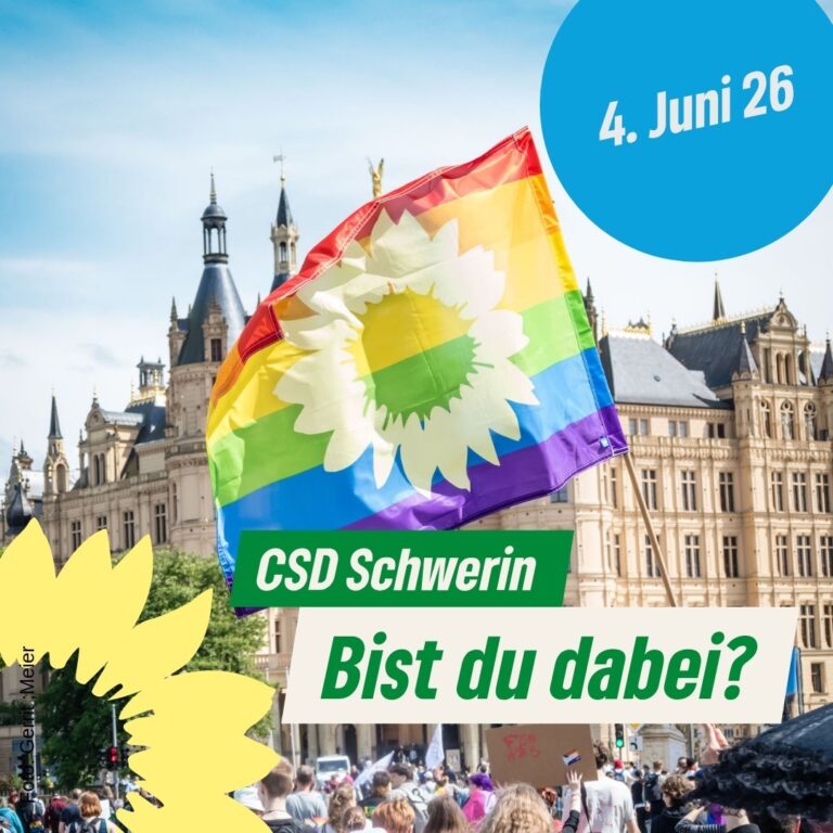 CSD Schwerin + 5-Seen-Lauf
